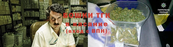 ECSTASY Алексеевка