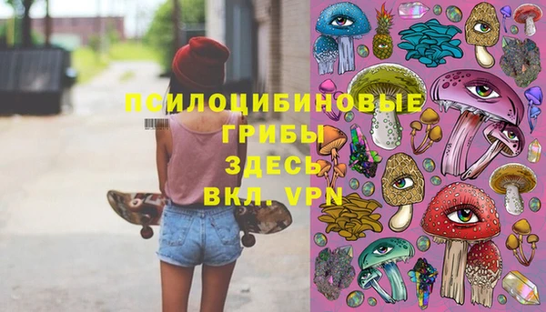 прущая мука Алзамай