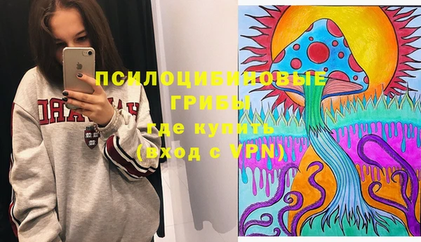марки lsd Абаза