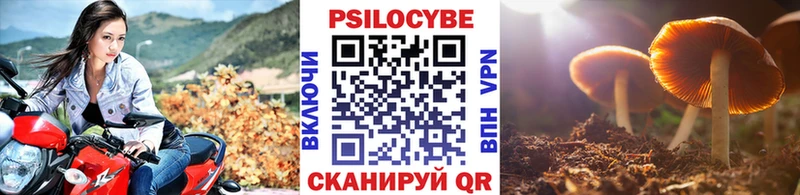 магазин    Аткарск  mega tor  Псилоцибиновые грибы мицелий 